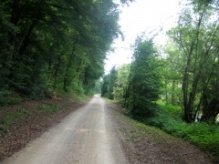 Naabtalradweg  Radweg